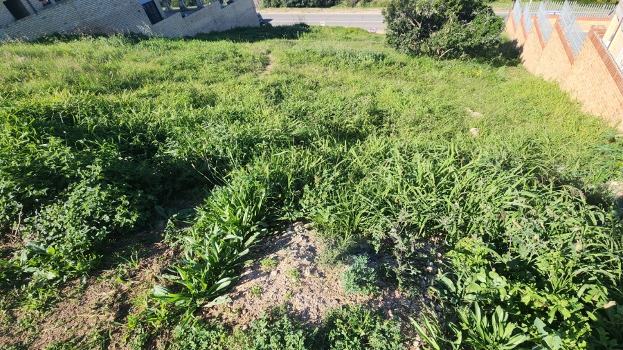 0 Bedroom Property for Sale in Menkenkop Western Cape